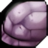 Turtle Shell