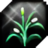 Medicinal Herbs